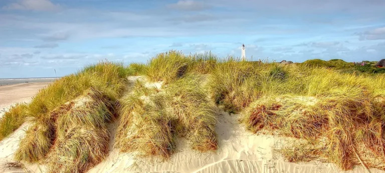 Blåvand – Familienurlaub am dänischen Nordseestrand