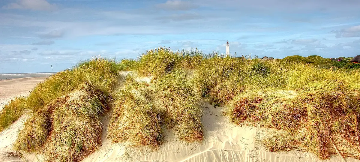 Blåvand – Familienurlaub am dänischen Nordseestrand